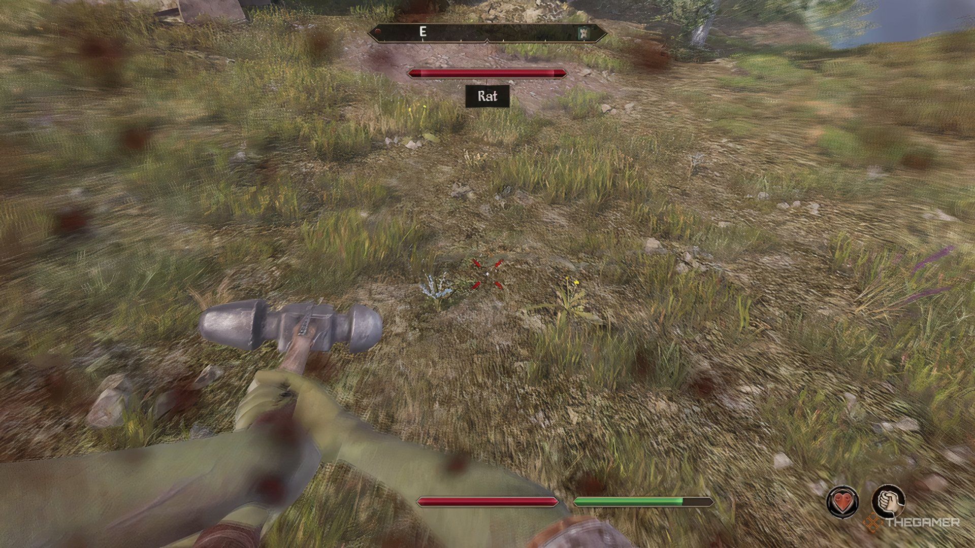 Attacking invisible rats from the Elder Scroll IV oblivion remaster.