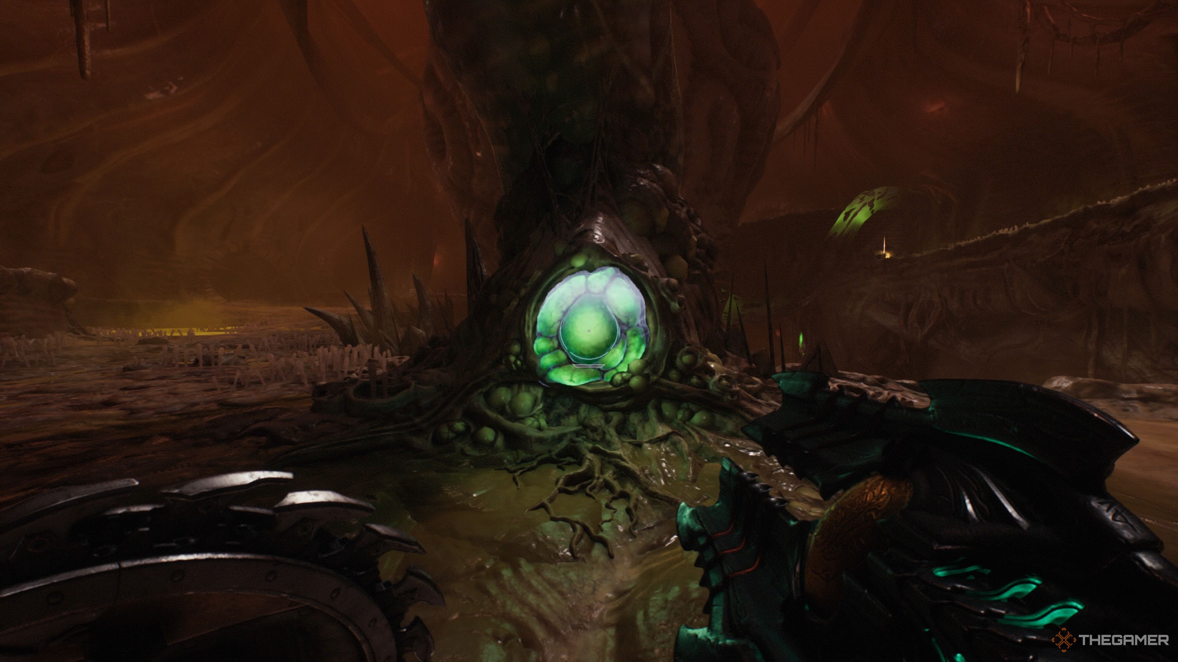 The second organs in the abdomen of the animal chapter of the dark age.