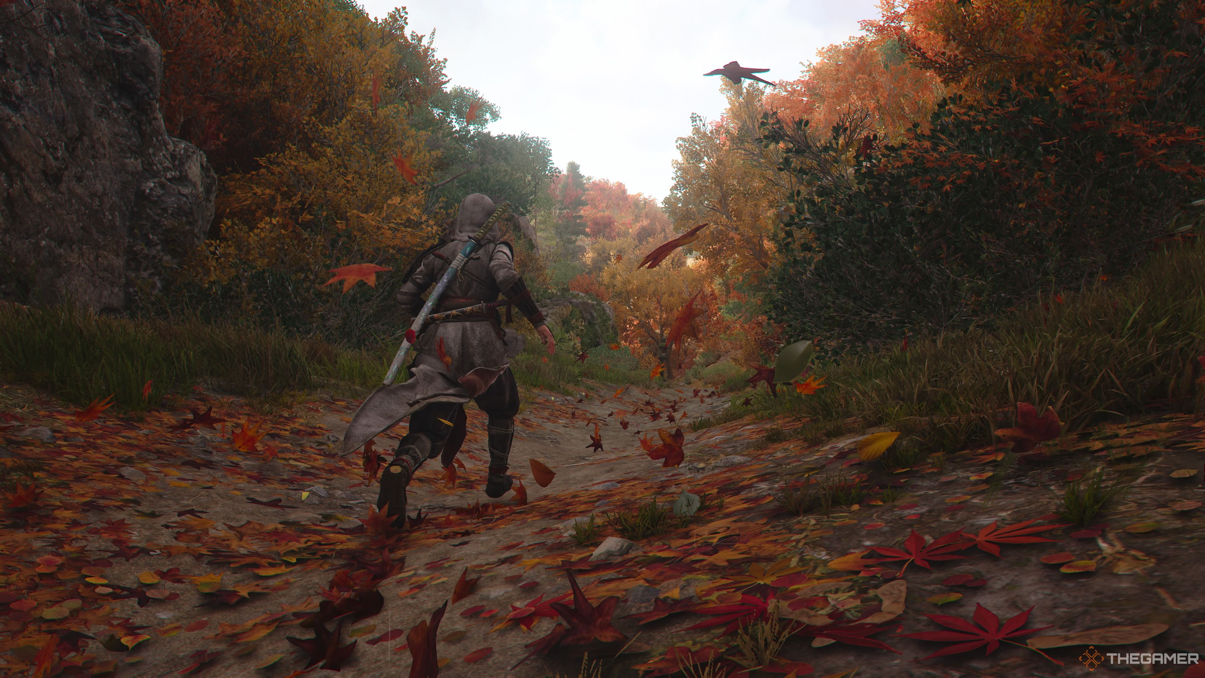 قدم زدن در بیابان در سایه های Assassin's Creed