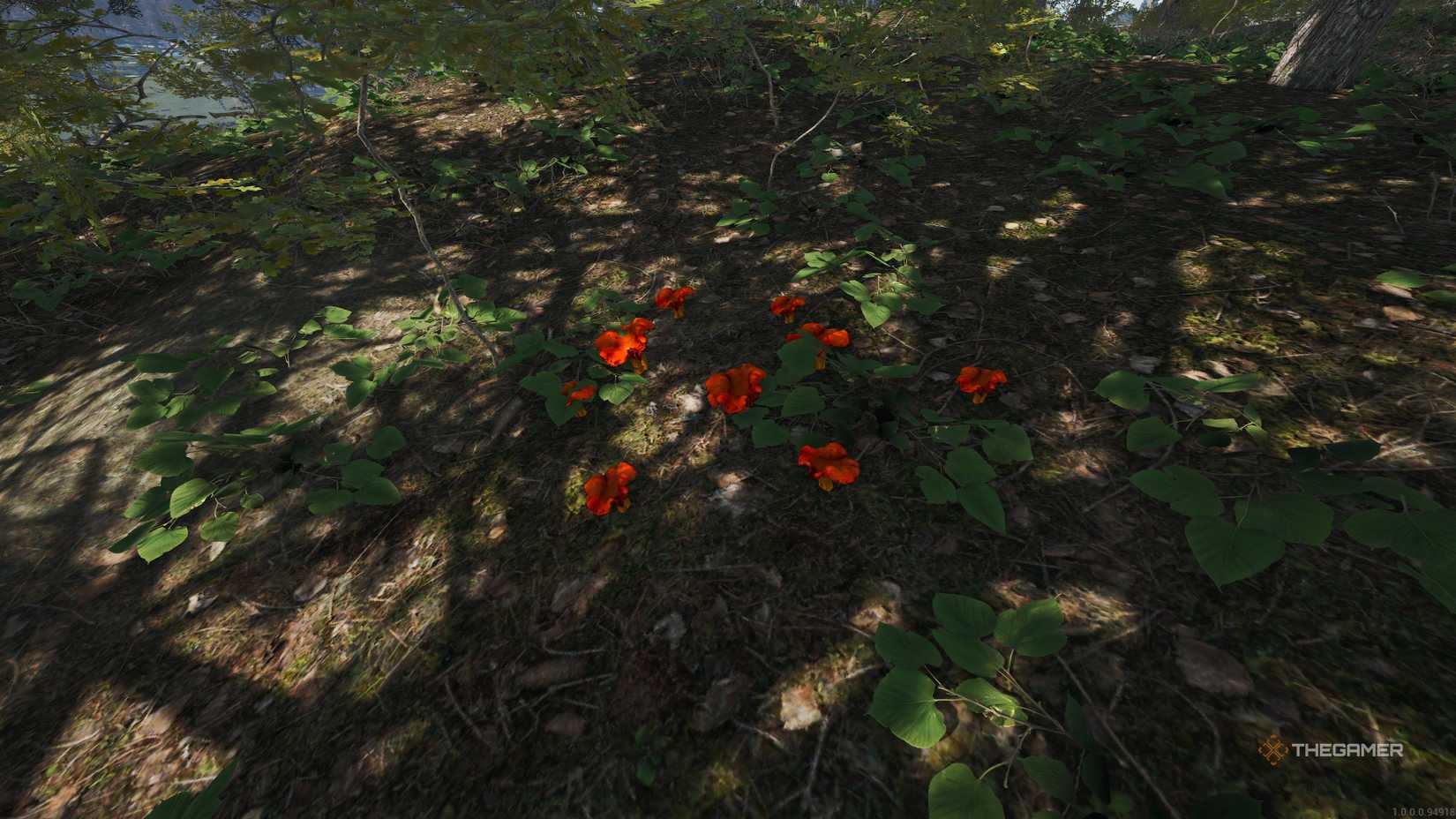 Red Scum Which Mushrooms Can You Eat In Scum?