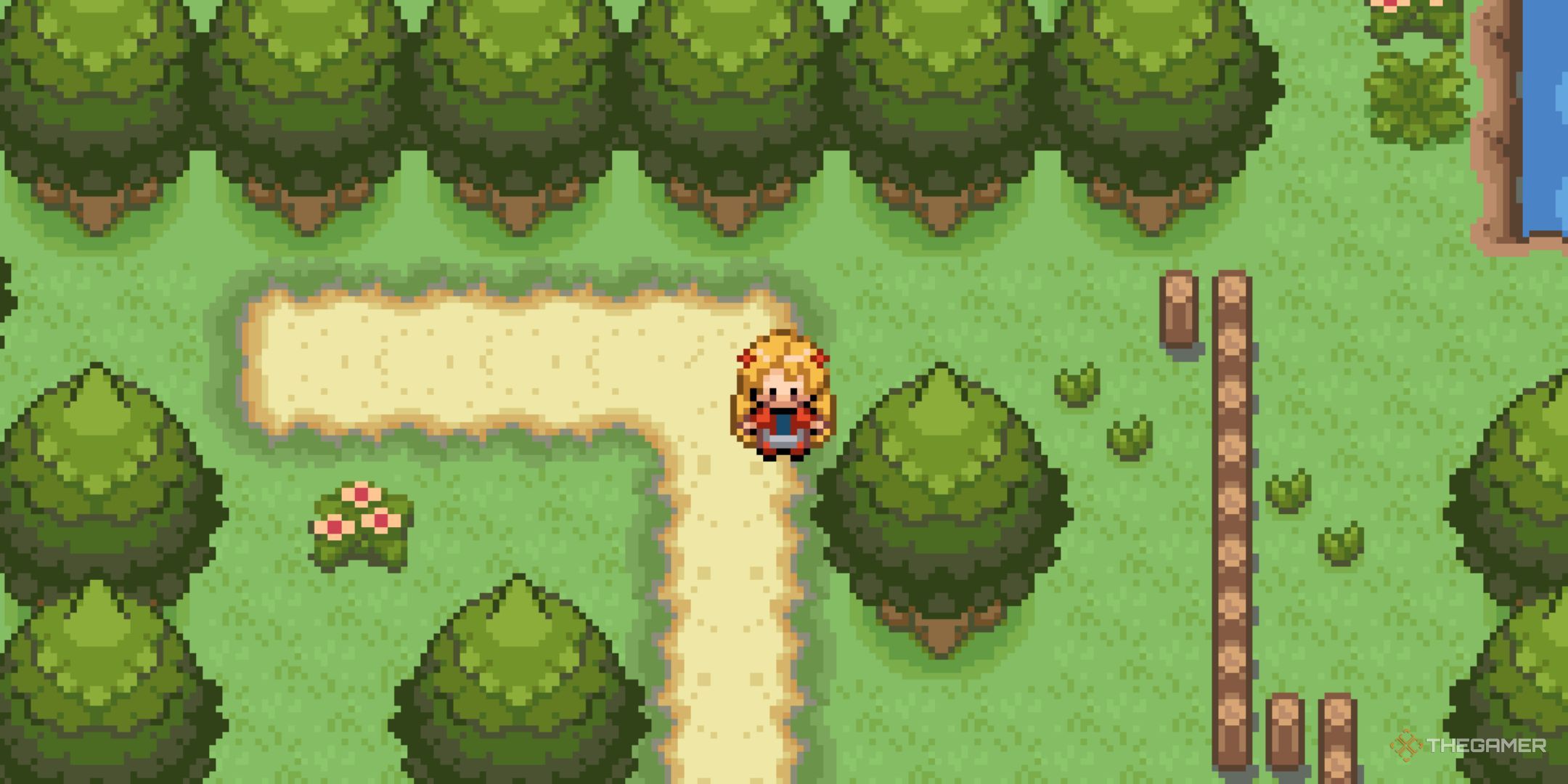 The main characters stand next to some trees of glazed pokemon