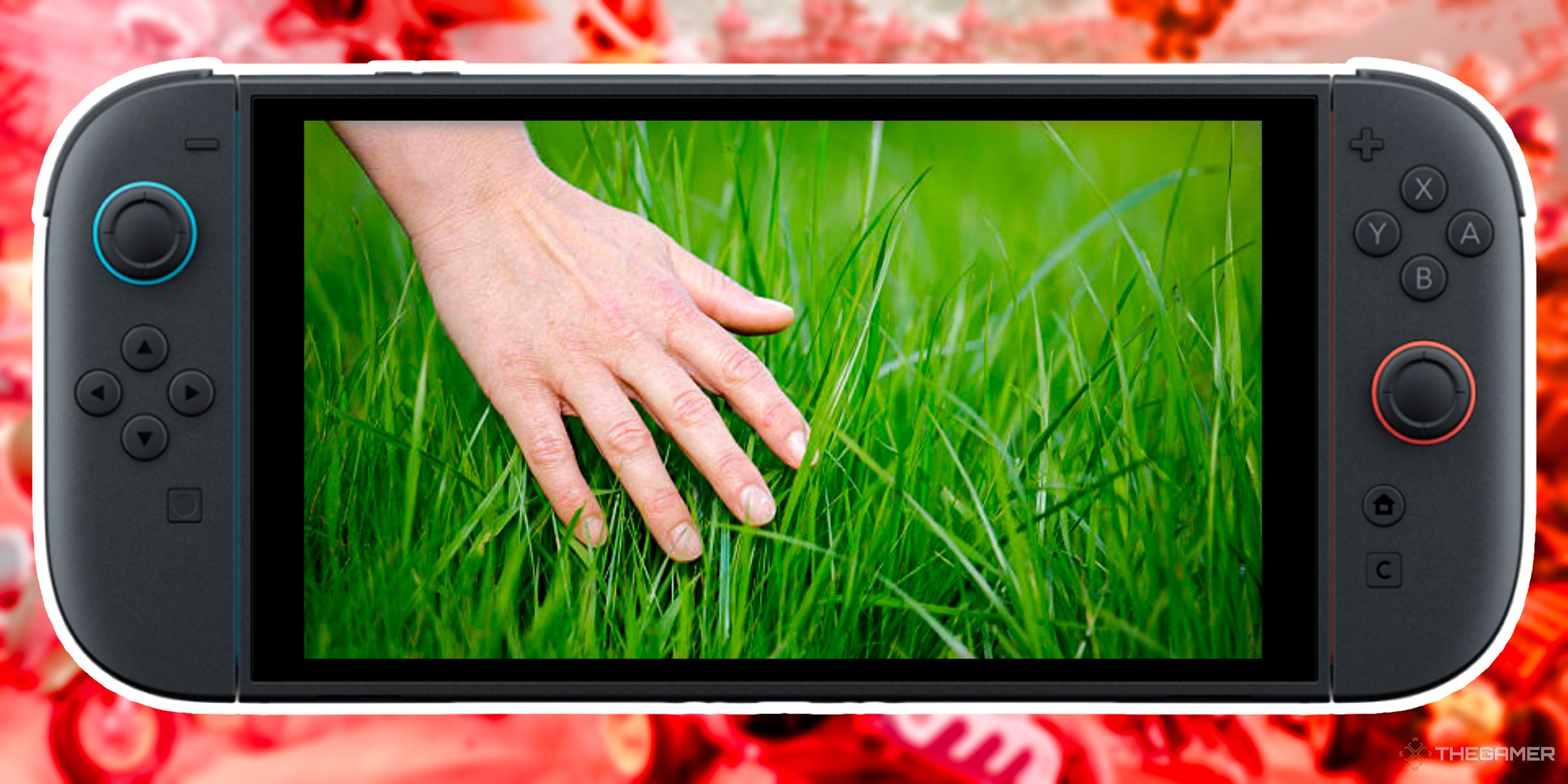 A persons hand reaching to touch some tall grass inside of a Nintendo Switch 2.