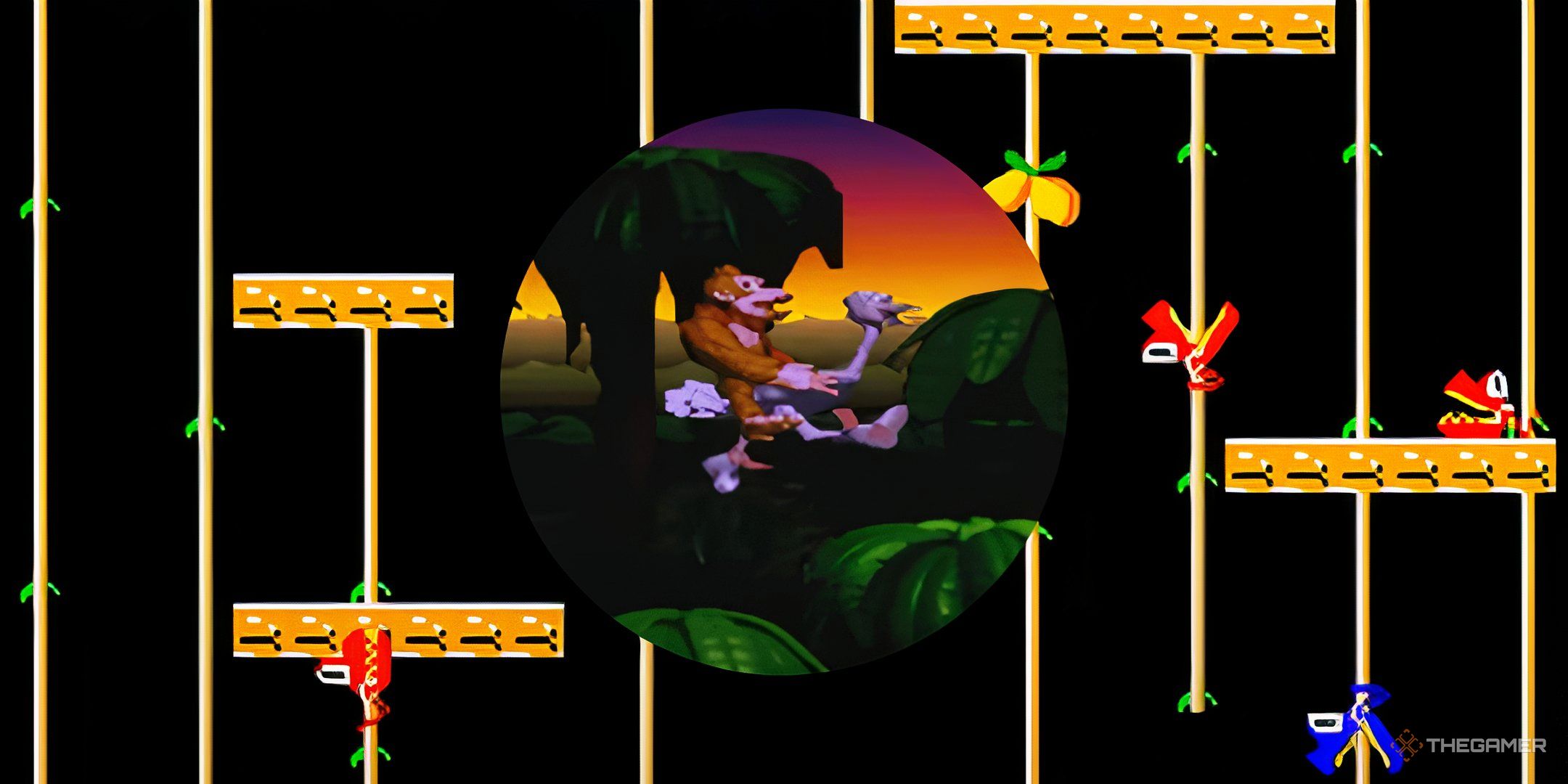 The Most Forgotten Characters In The Donkey Kong Series