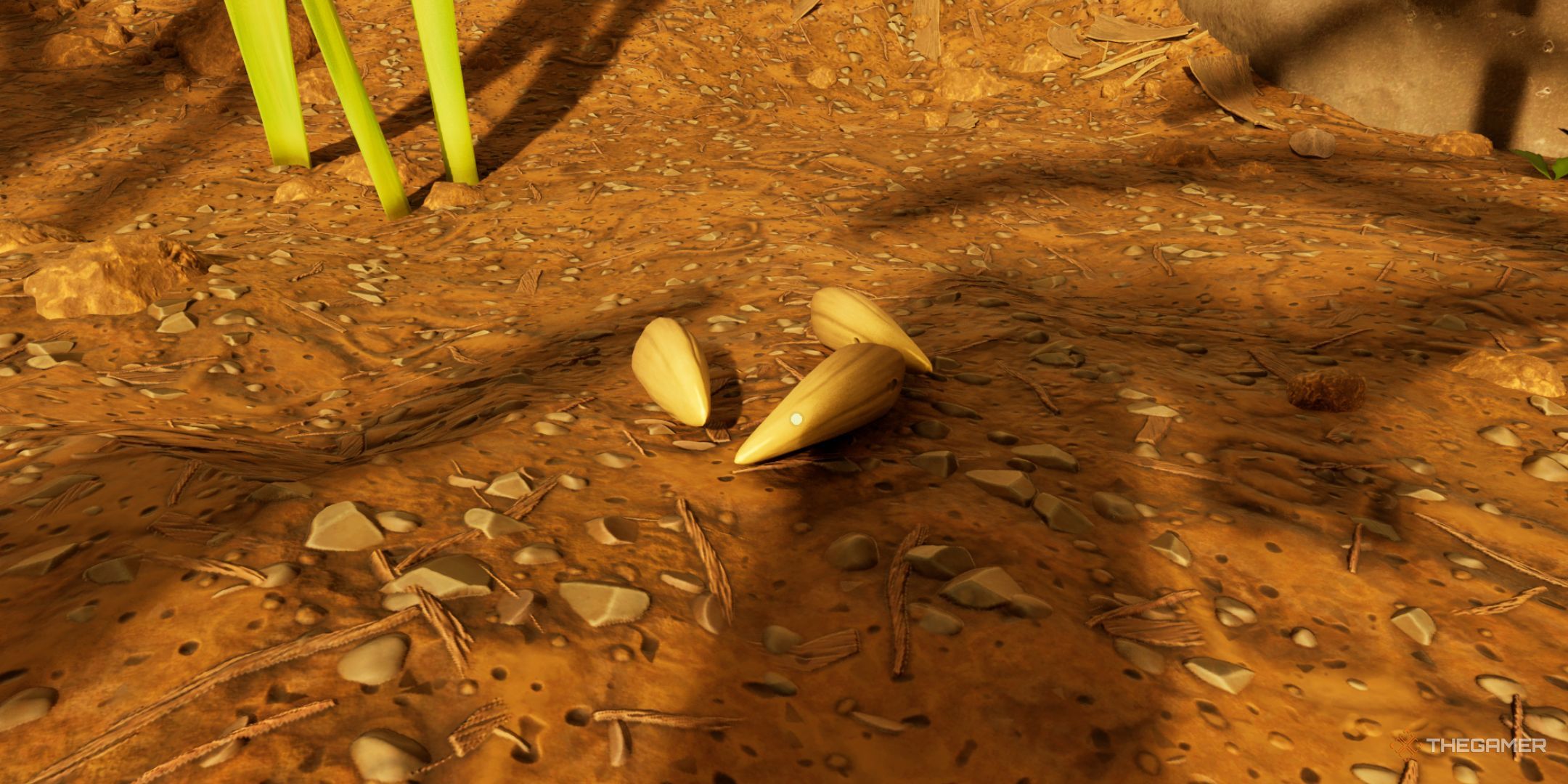 The ground grass seeds are done on the floor.