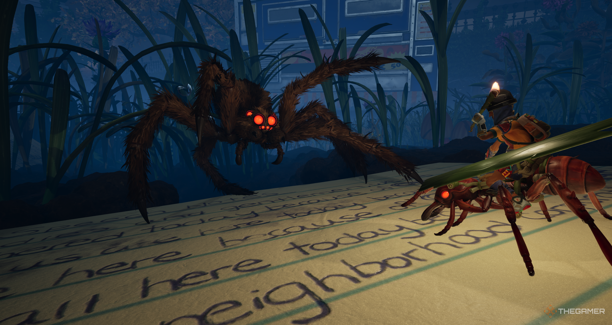 Fight a wolf spider on the ground 2.