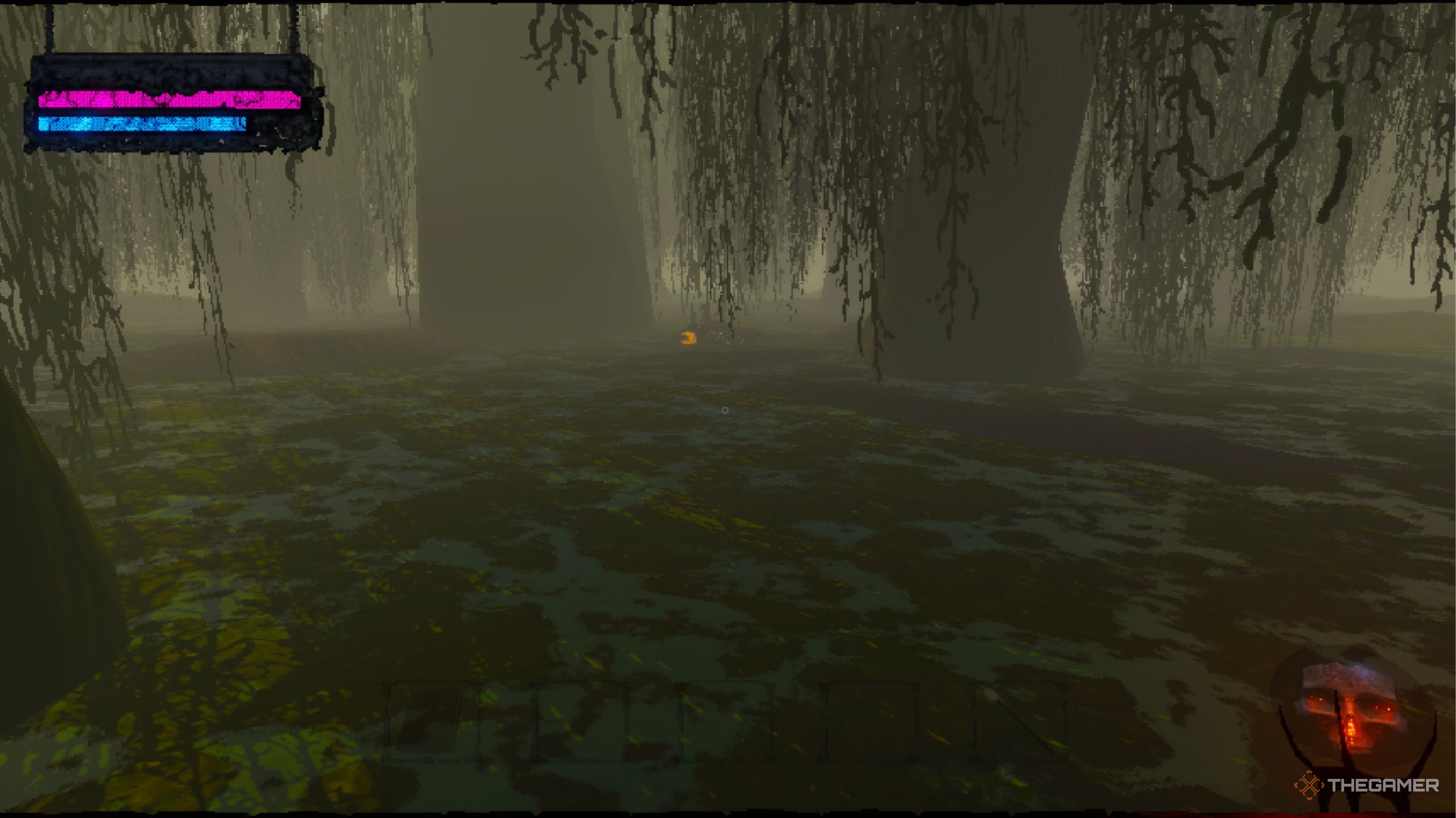 Moj Seana frog was hidden inside the swamp.