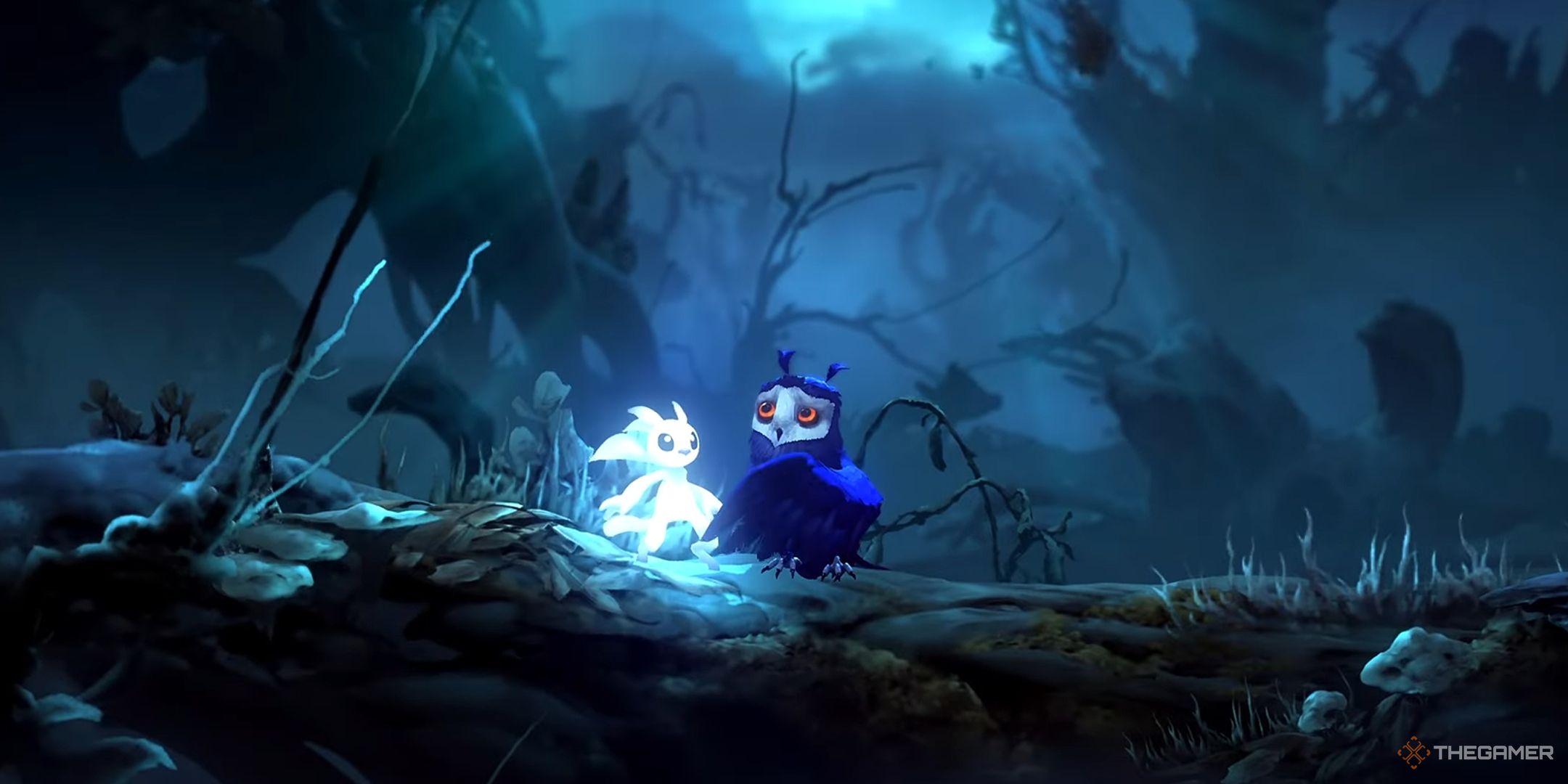 Ori and Ku in Ori and the Will of the Wisps.