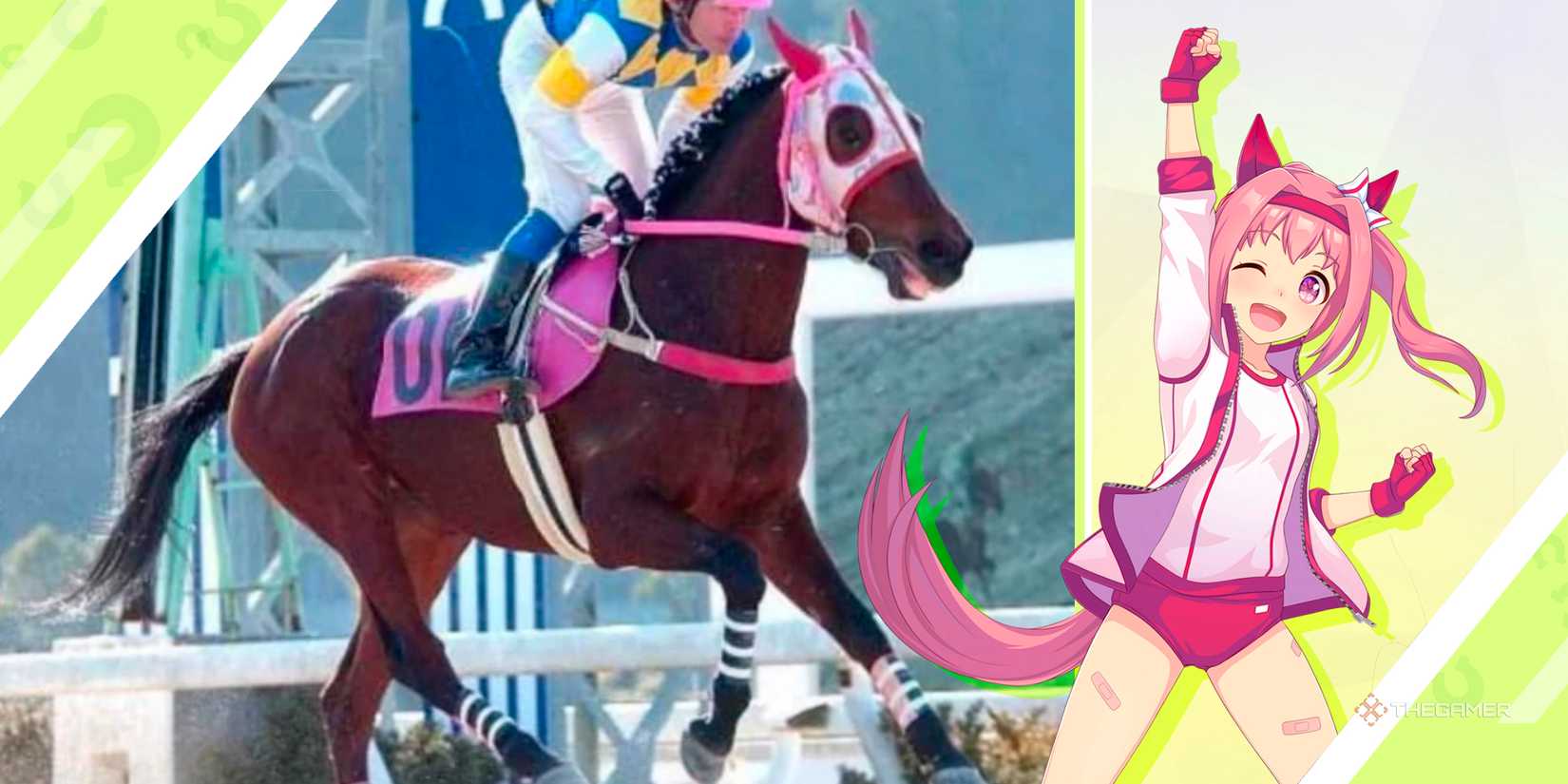 Did You Know The Umamusume: Pretty Derby Trainees Are Based On Real ...