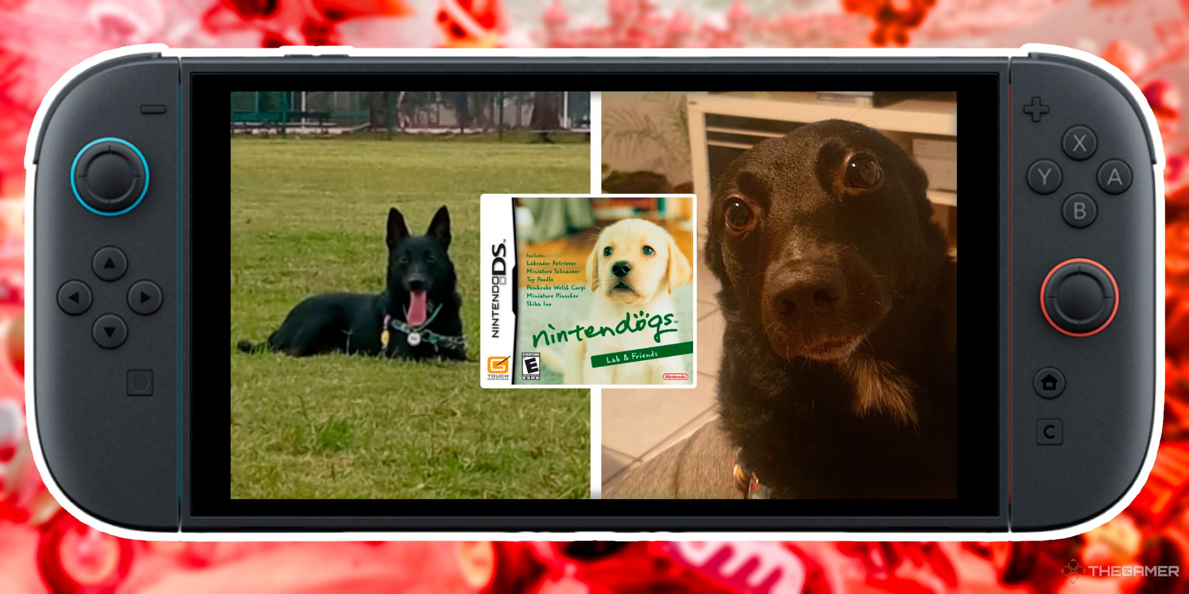 Two pictures of a black dog with a copy of Nintendogs for the DS in the center inside of a Nintendo Switch 2.