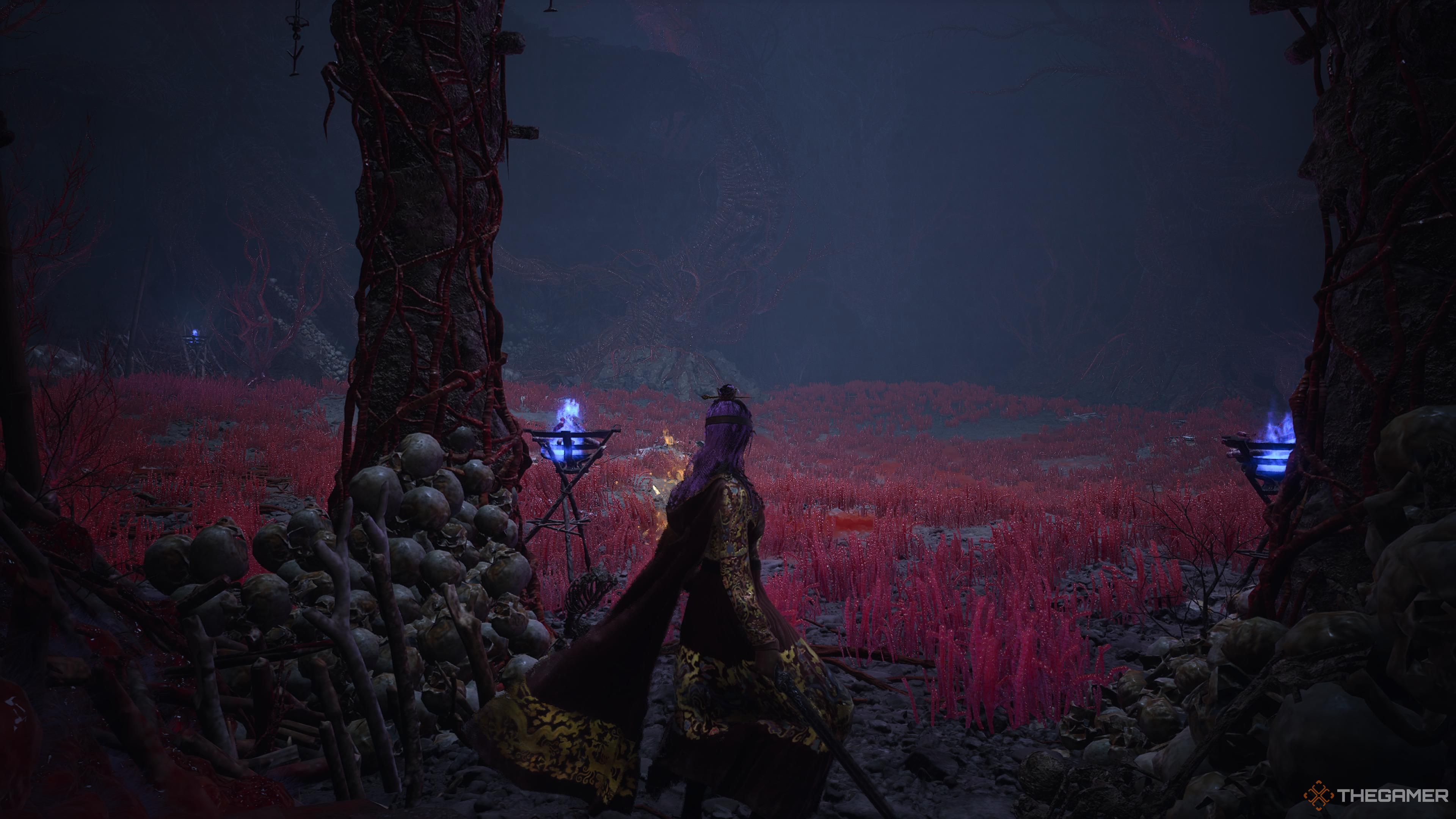 Entering the Bo Mags Arena in the witching: Falling feathers.