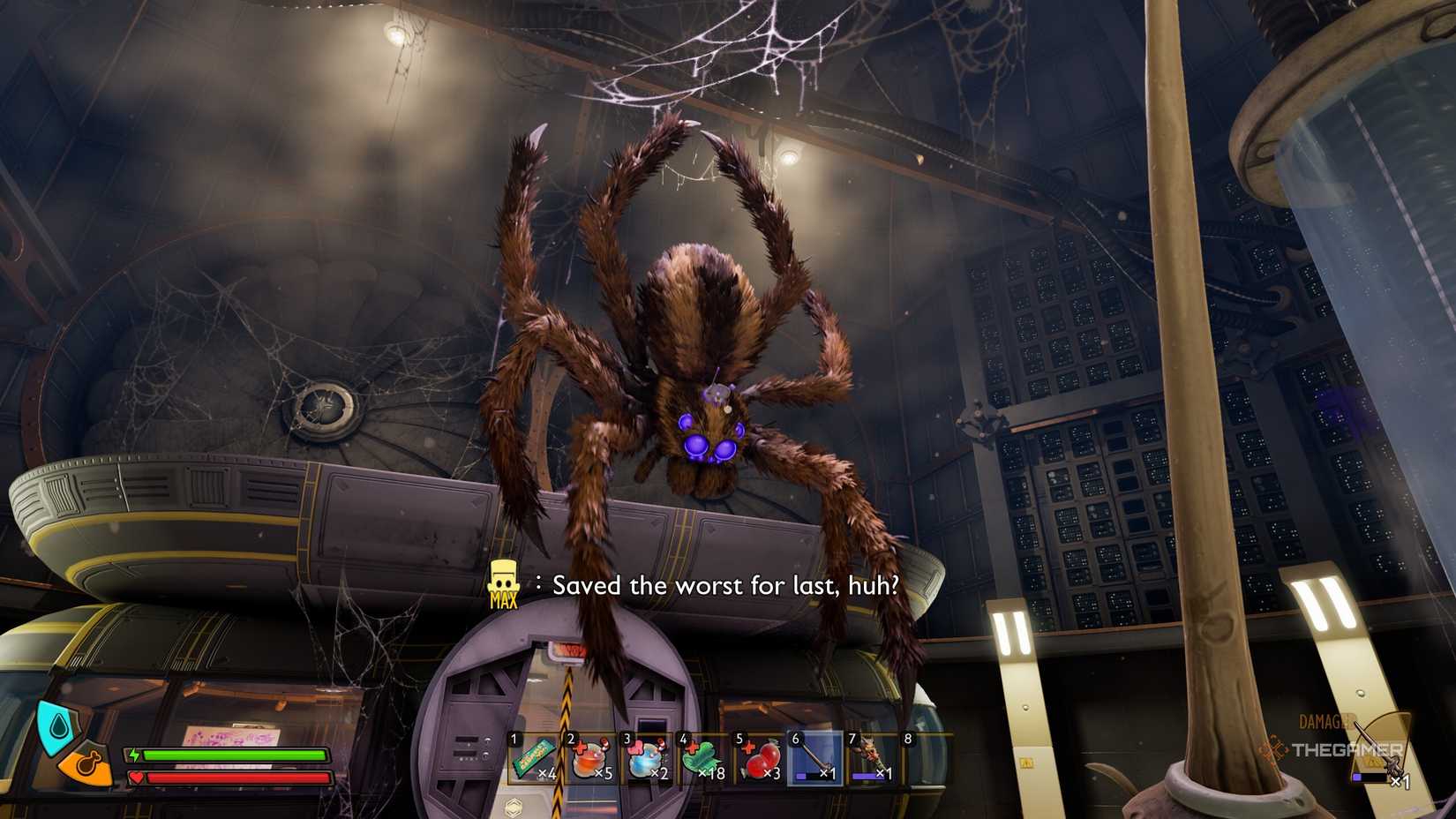 Large hanging spider in ground 2. 