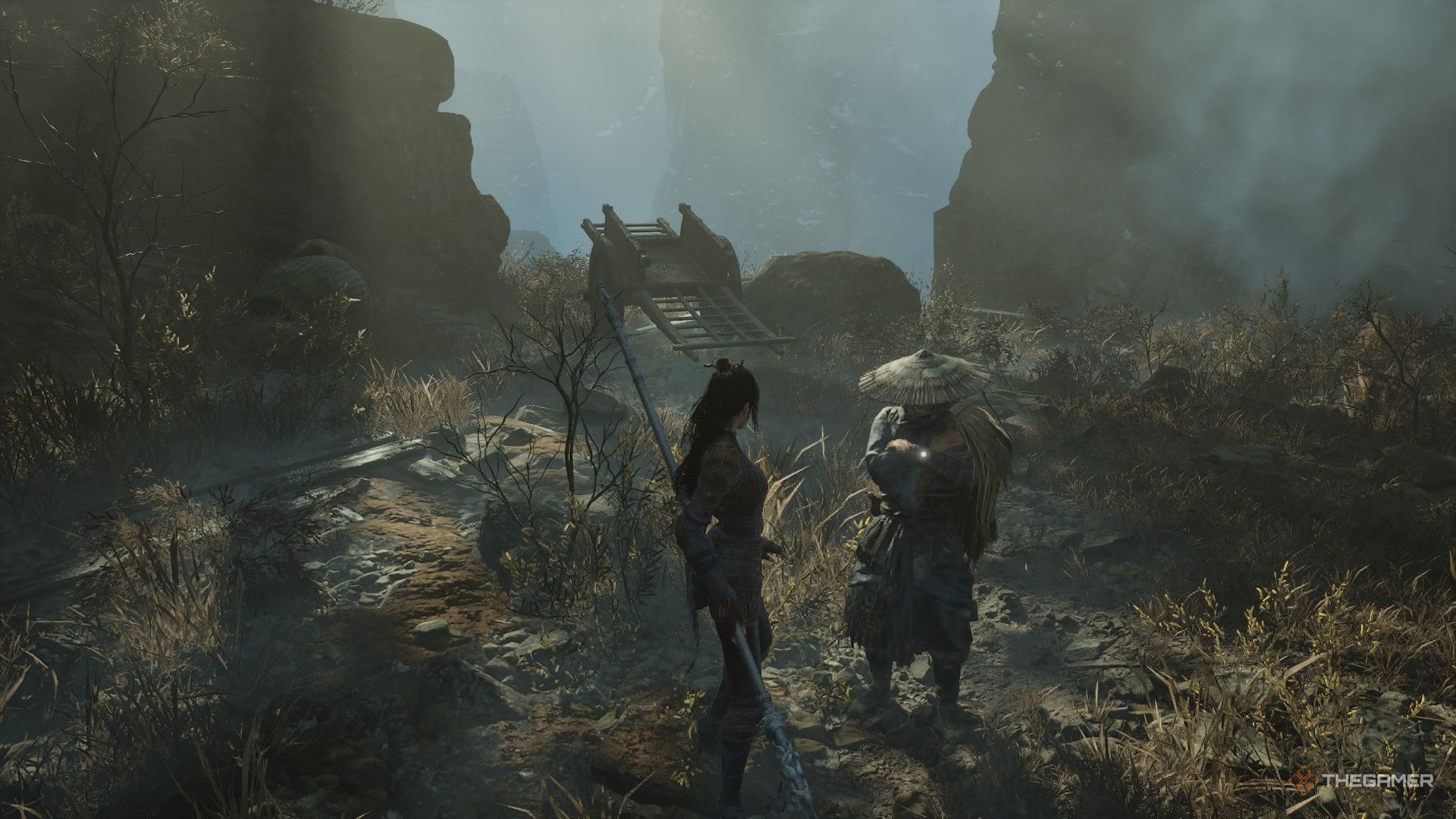 Wuchrang Wuchswath शीर्ष मा हिलसेक शीर्ष मा Nian suichang पत्ता लगाउँदछ: पतित प्वाँखहरु।