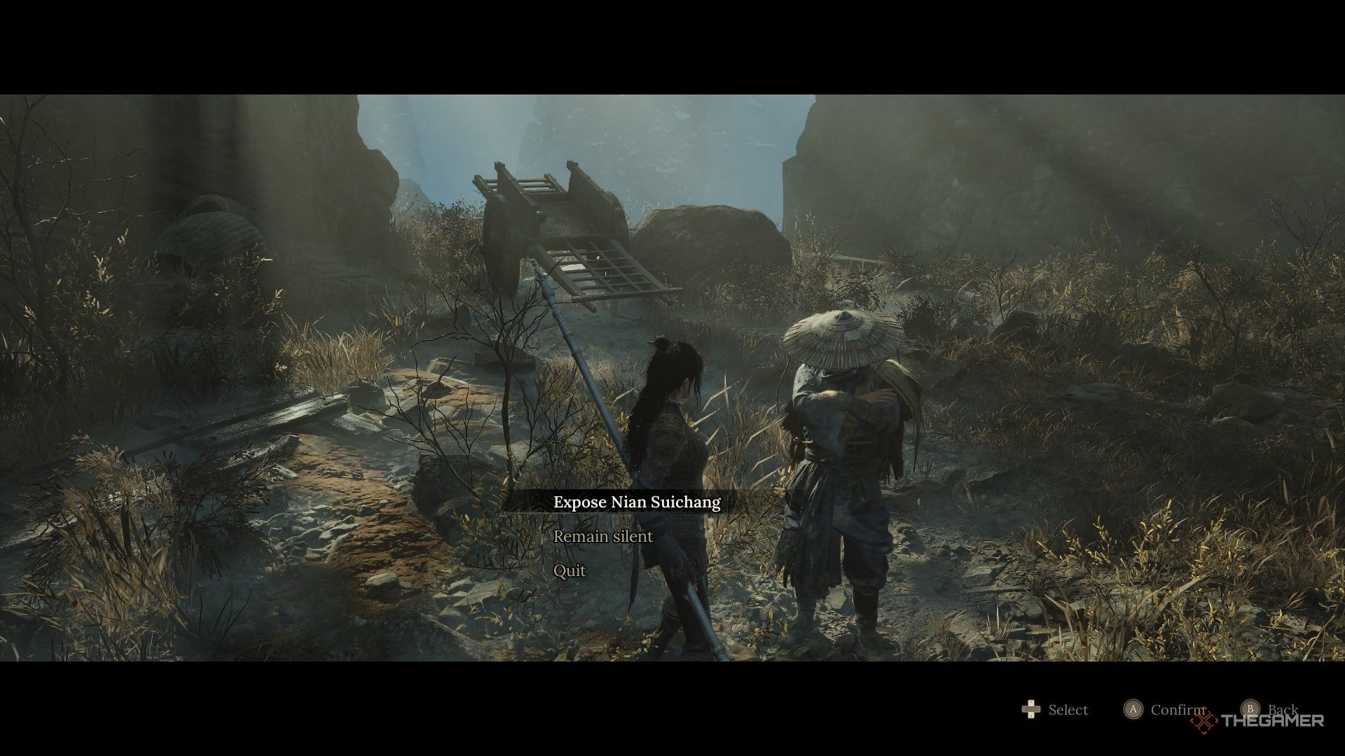 Wuchchng ले wuachngath मा हिलसेच मा नियाल सुइहा ung लाई पर्दाफाश गर्न छनौट गर्दछ: पतित प्वाँखहरु।