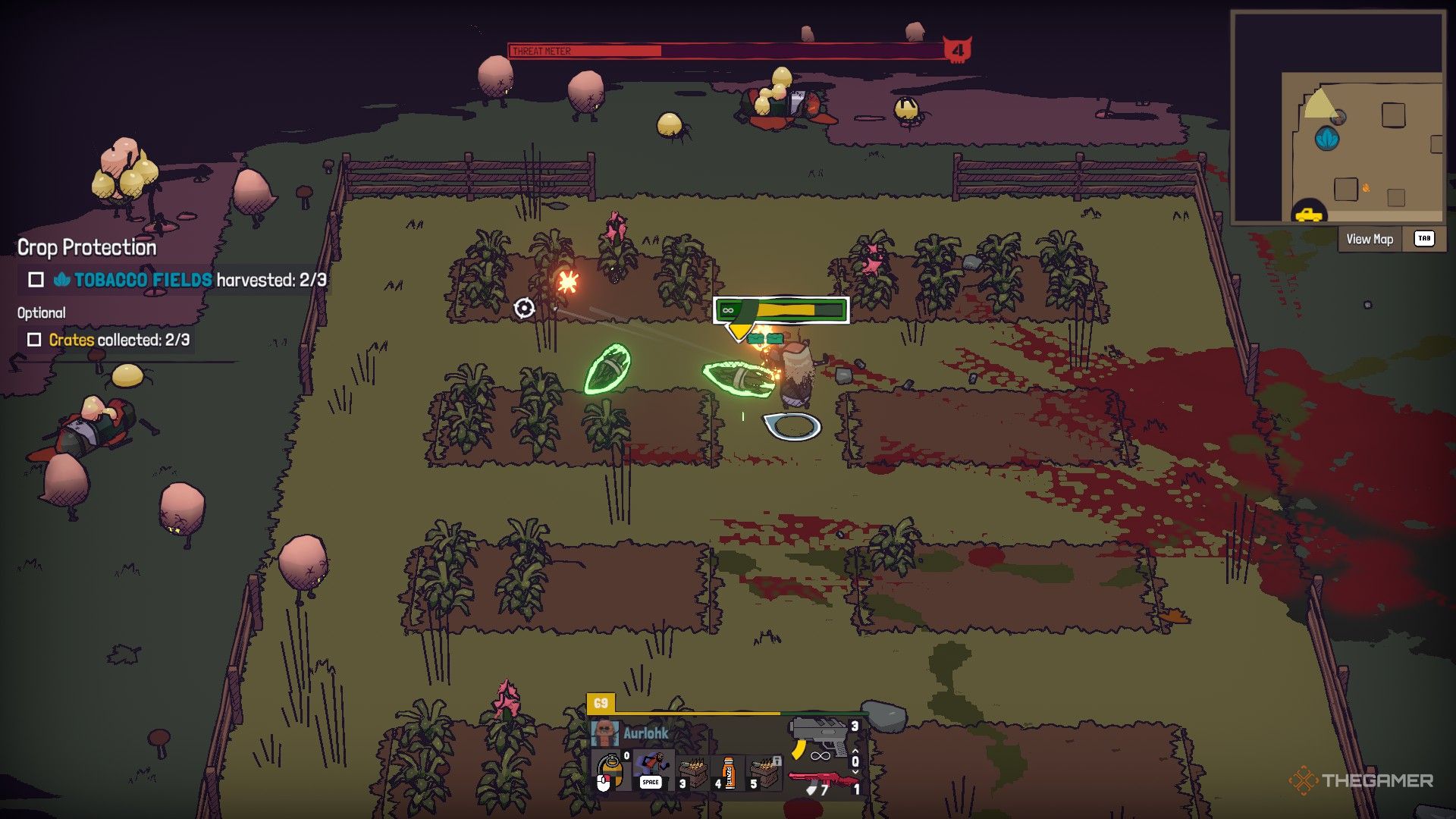 Pushit shot in tobacco plants and perpetrators to be on the enemy.