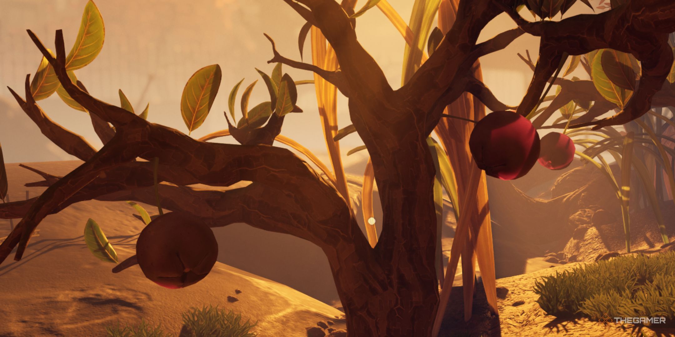 Where To Find Blueberries, Lingonberries, And Flower Petals In Grounded 2
