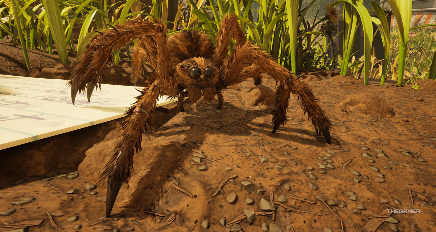 The player meets a large hairy spider in ground 2. 