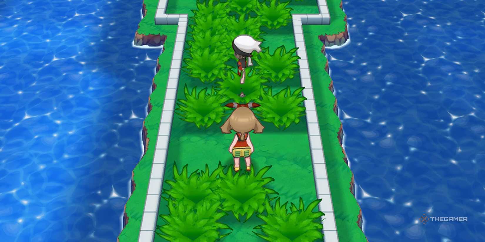 The rival of Pokemon Alpha Sapphire and Omega Ruby standing on Route 110.